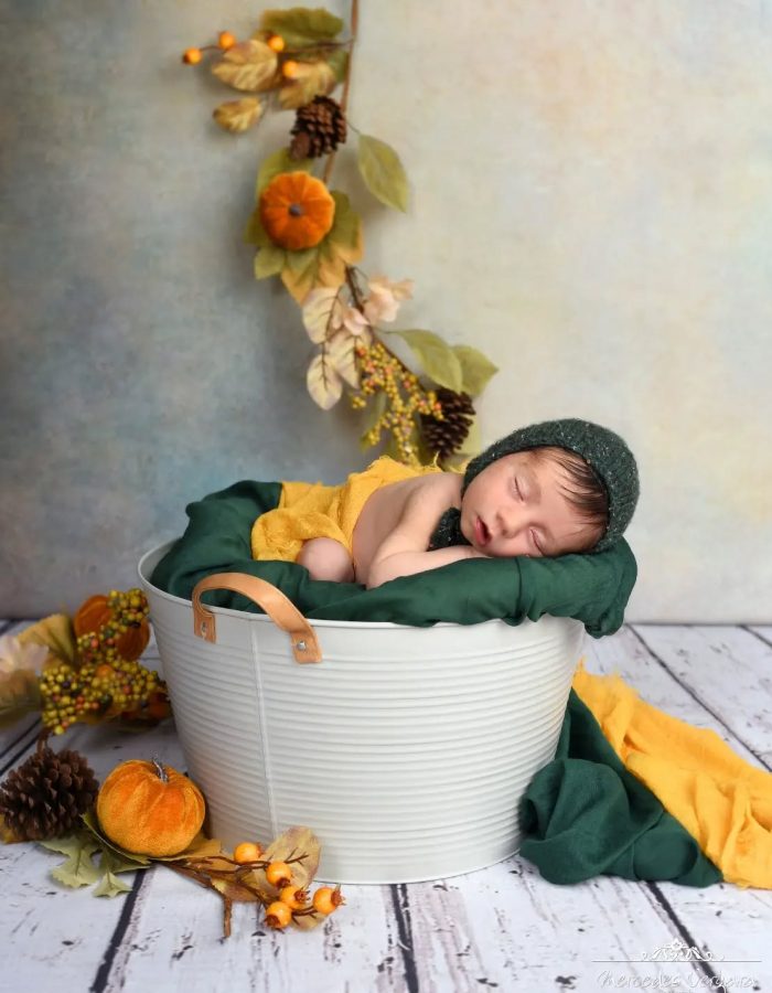 393568666_1010382626858182_6005105744772951655_n